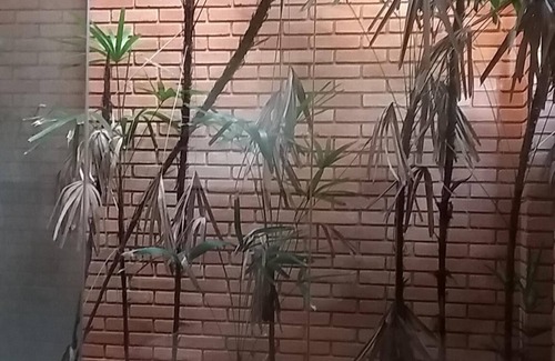 Itu House | Casa Capa Architecture and Construction. It has a lot of charm.