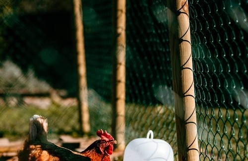 Lugo Apartment | Casa Chaín, Appartement Moderne en Plein Nature. Maison Renouvelé en Pierre