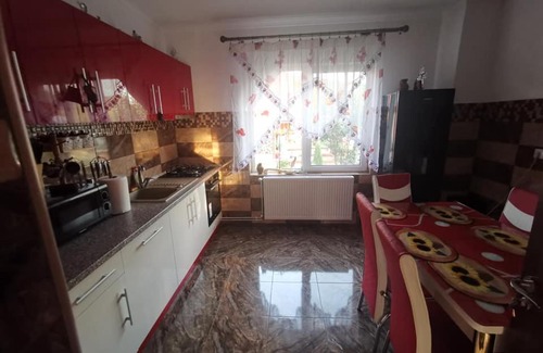 Viseu de Sus House | Casa Ciocan
