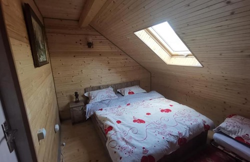 Viseu de Sus House | Casa Ciocan