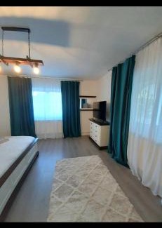 Bogdan Voda Villa | Casa Coman