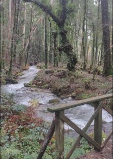 Moana House | CASA CON FINCA PRIVADA