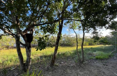 Caravelas House | Casa Coral, sossego e conforto - Mar Doce!