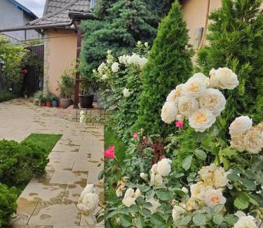 Jurilovca House | Casa Crinei