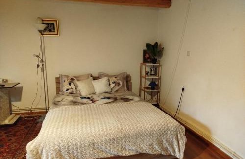 Bacau Ski Chalet | Casa cu amintiri