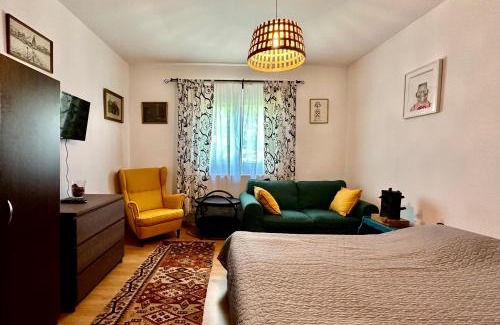 Eforie Sud House | Casa cu Smochin | House with the fig