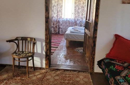 Jibert House | Casa cu struț Malancrav