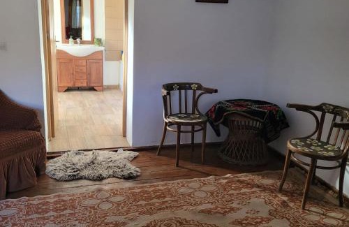 Jibert House | Casa cu struț Malancrav