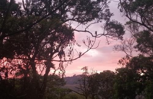 Ouro Preto House | Casa da Árvore