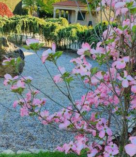 Frades House | Casa da Agra