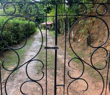 Terras Frias House | Casa da Baronesa