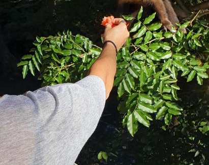 Brotas House | Casa da Cachoeira