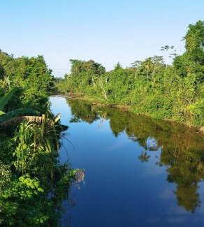 Ubatumirim House | casa da mata