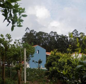 Troviscal Bed & Breakfast | Casa da Milheira - Agroturismo