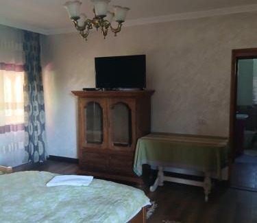 Partestii de Jos House | Casa Dana