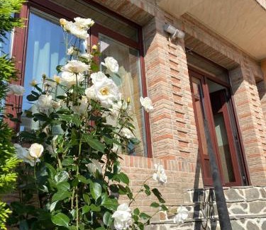 Partestii de Jos House | Casa Dana