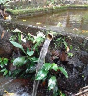 Praia da Enseada Apartment | Casa das Árvores