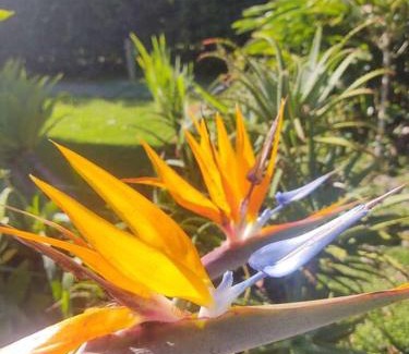 Itamonte House | Casa de Campo Bela Vista