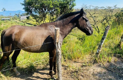 Pacto Cottage | Casa de Campo CAMVUL lodging; connect with Choco Andean Nature