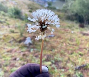 Urupema House | Casa de Campo da Vó