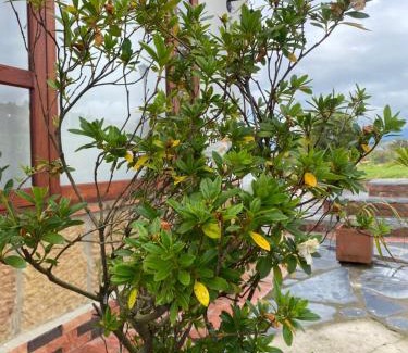 Villa de Leyva House | Casa de Campo El Solar de los Muiscas