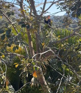 Teresopolis House | Casa de Campo em Teresópolis