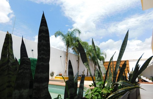 Tequila Cottage | Casa de Campo Los Laureles (Nature and Tranquility in the Tequilense countryside)