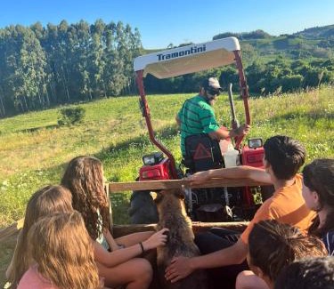 Farroupilha House | Casa de Campo Província Minosso