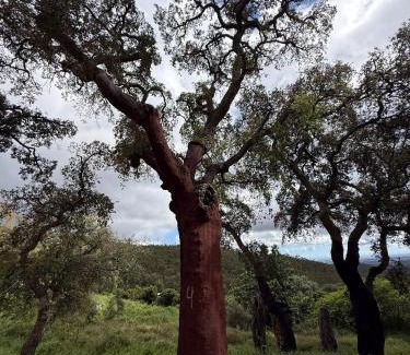 Marmelete House | Casa de Celebrar a Vida