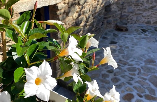 Muros House | Casa de la Perriola