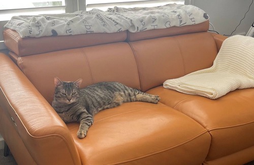 Glenelg Apartment | Casa de Mare - Cosy and comfortable apartment