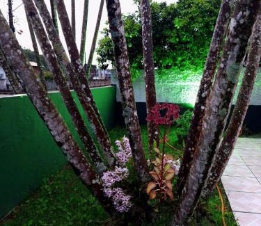 Governador Celso Ramos House | Casa de praia