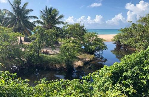 Coruripe House | CASA DE PRAIA CORURIPE - LAGOA DO PAU