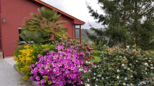 Culleredo House | Casa de Sabela