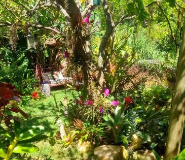 Petropolis House | Casa de vidro