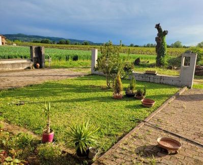 Brendola House | Casa dei Prati