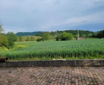 Brendola House | Casa dei Prati