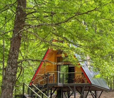 Curacautin Ski Chalet | Casa del Árbol - Malalcahuello