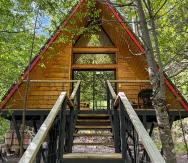 Curacautin Ski Chalet | Casa del Árbol - Malalcahuello