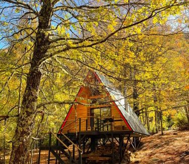 Curacautin Ski Chalet | Casa del Árbol - Malalcahuello