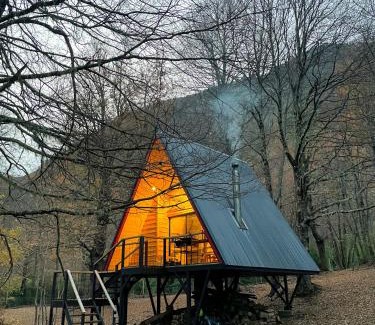 Curacautin Ski Chalet | Casa del Árbol - Malalcahuello