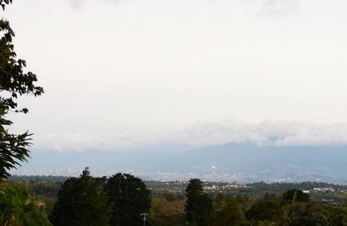 Sabana Redonda House | Casa del Eucalipto