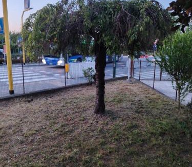 Tessera House | Casa di Aloisia