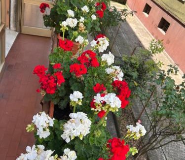 Mestre Apartment | Casa di sara