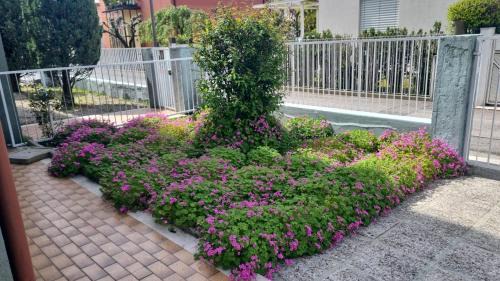 Treviso Apartment | Casa di Terry