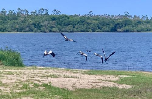 Ararangua House | Casa dos Girassóis na Lagoa