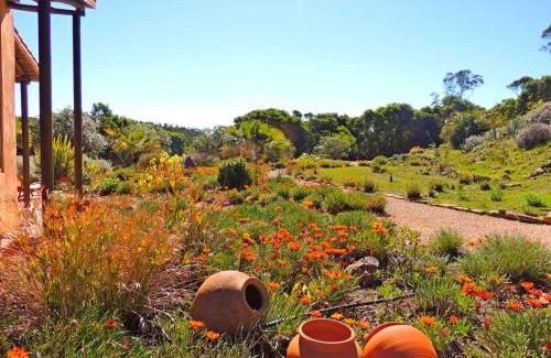 Barao de Sao Joao Apartment | Casa dos Sonhos, private terrace, quiet location, walking to village, ecological pool, pets considered, nature friendly