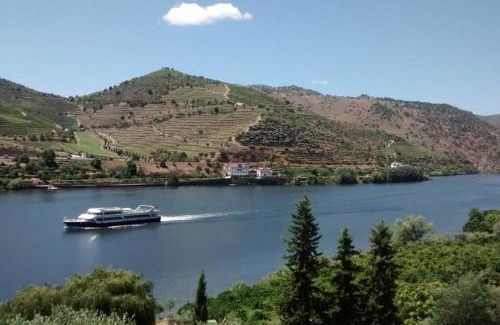 Carrazeda de Ansiaes House | Casa dos Vinhais Douro Valley