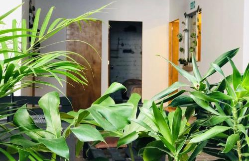 Laureles House | Casa Egos Pop Laureles