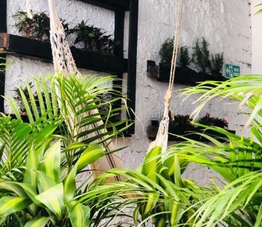 Laureles House | Casa Egos Pop Laureles